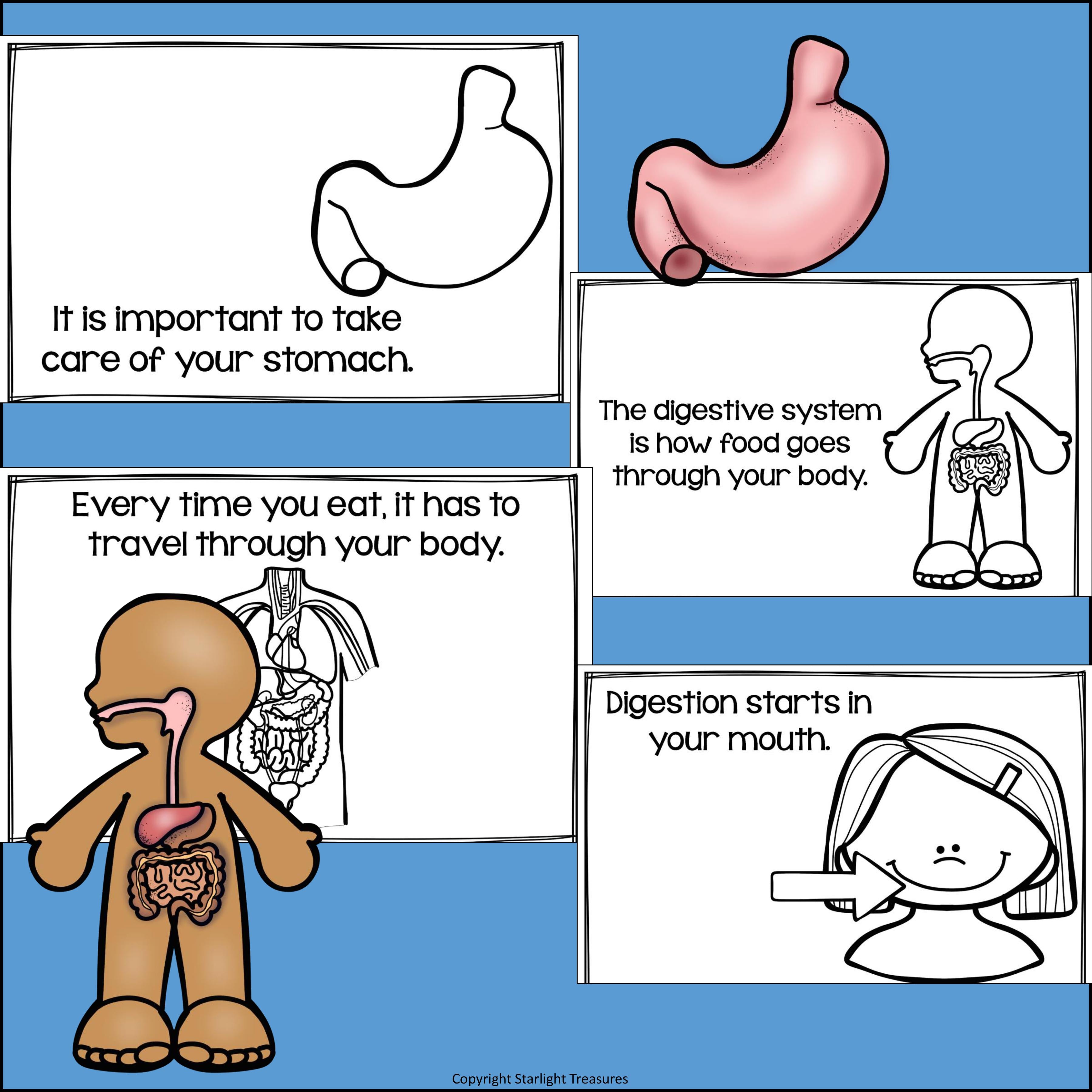 Human Body Systems: Digestive System Mini Book for Early Readers