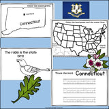 Connecticut Mini Book for Early Readers - A State Study