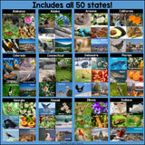 50 states photo post collages