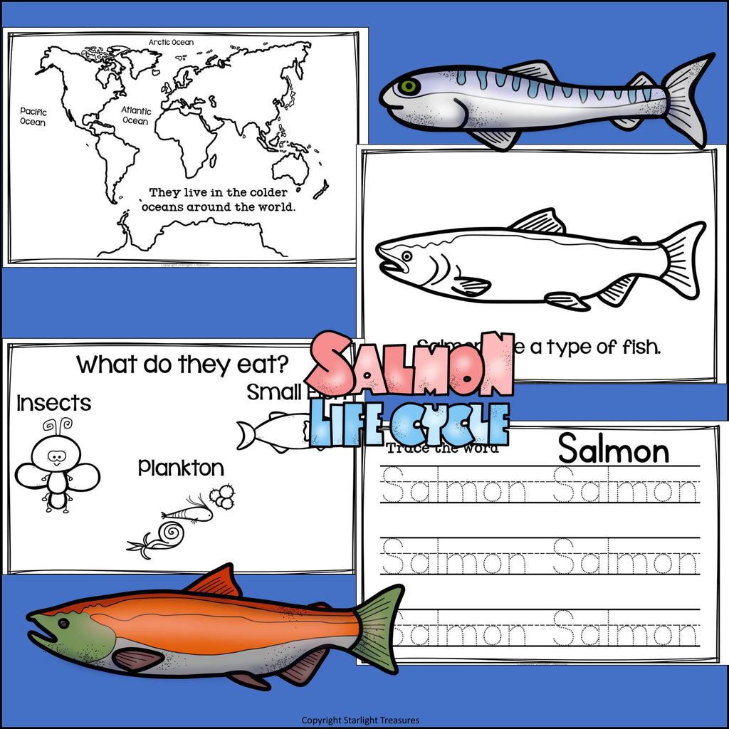 Salmon Mini Book for Early Readers