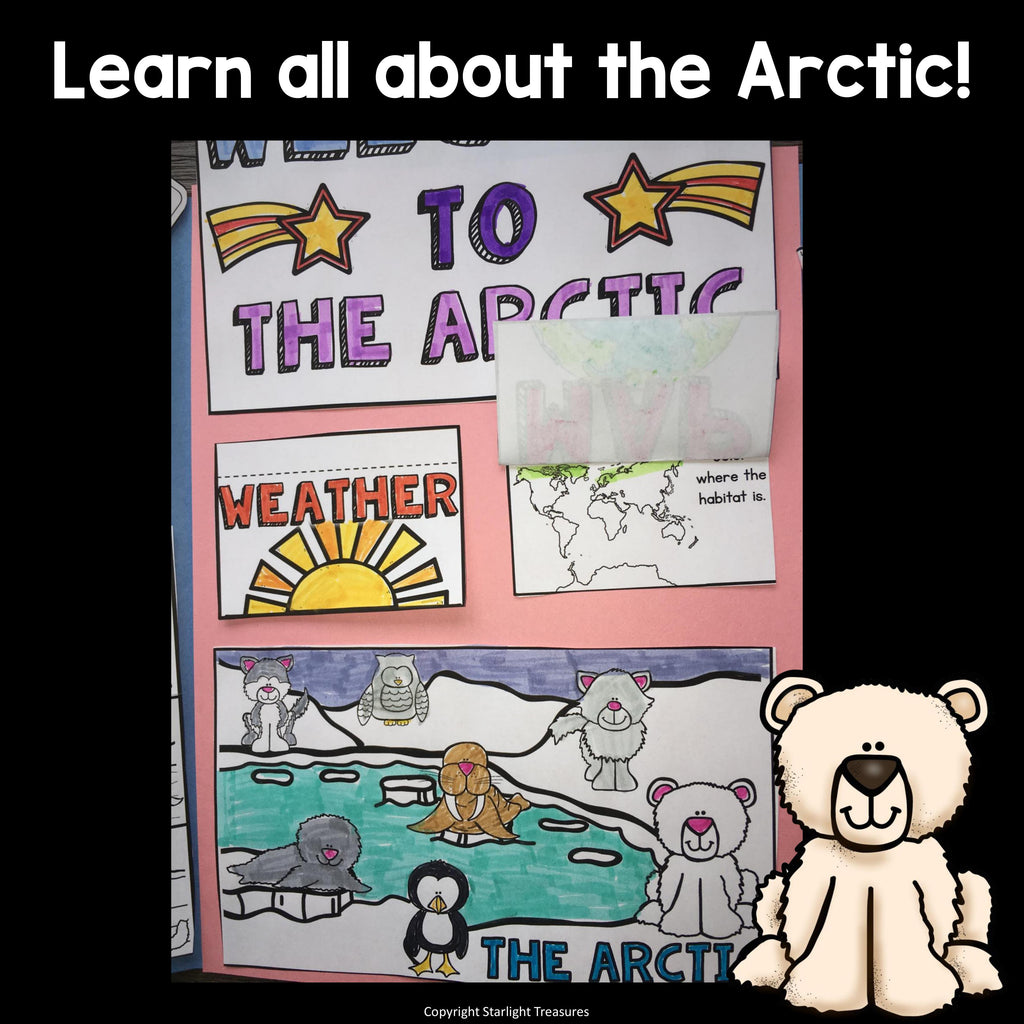 Arctic Lapbook for Early Learners - Animal Habitats