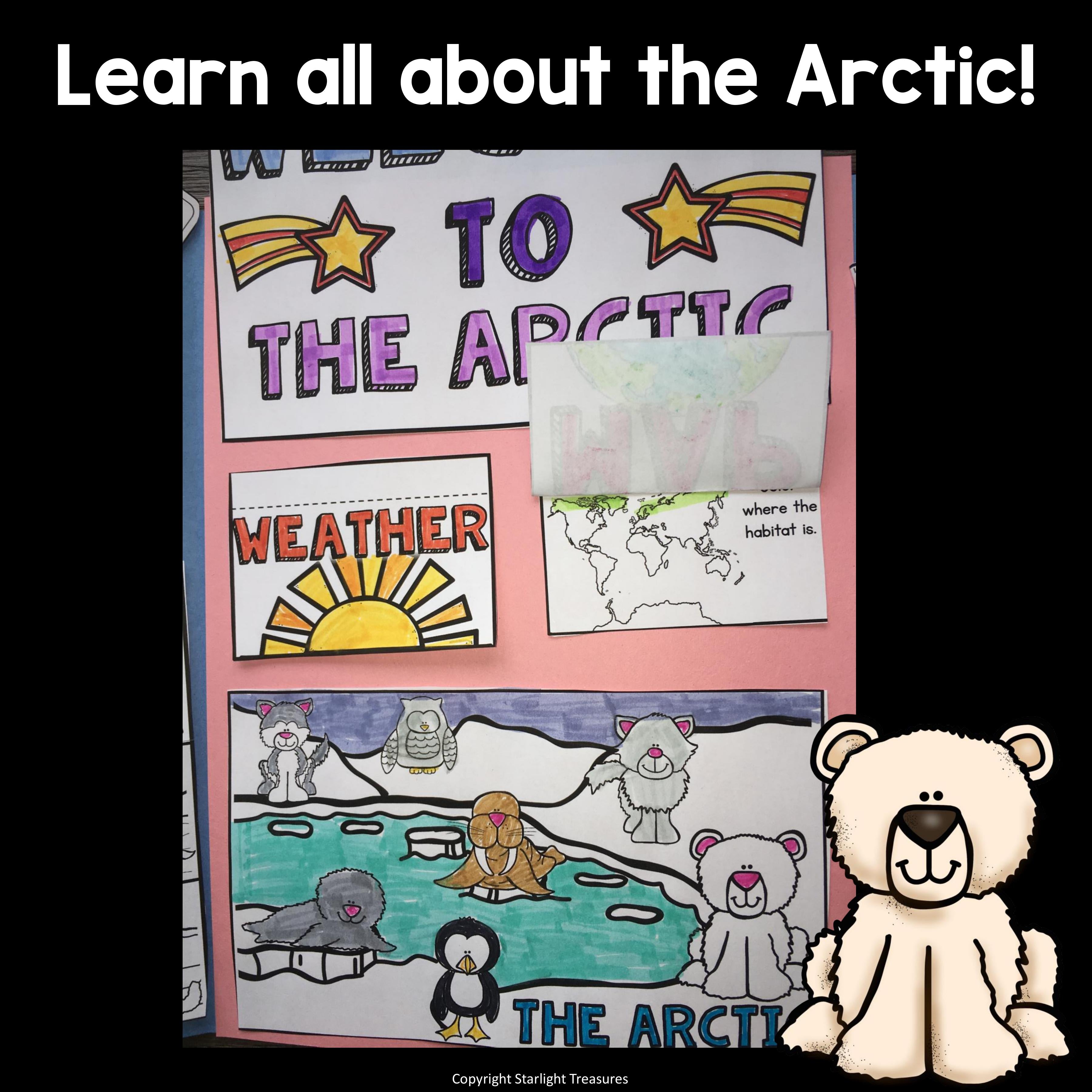 Arctic Lapbook for Early Learners - Animal Habitats