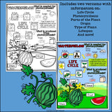 Watermelon Fact Sheet for Early Readers