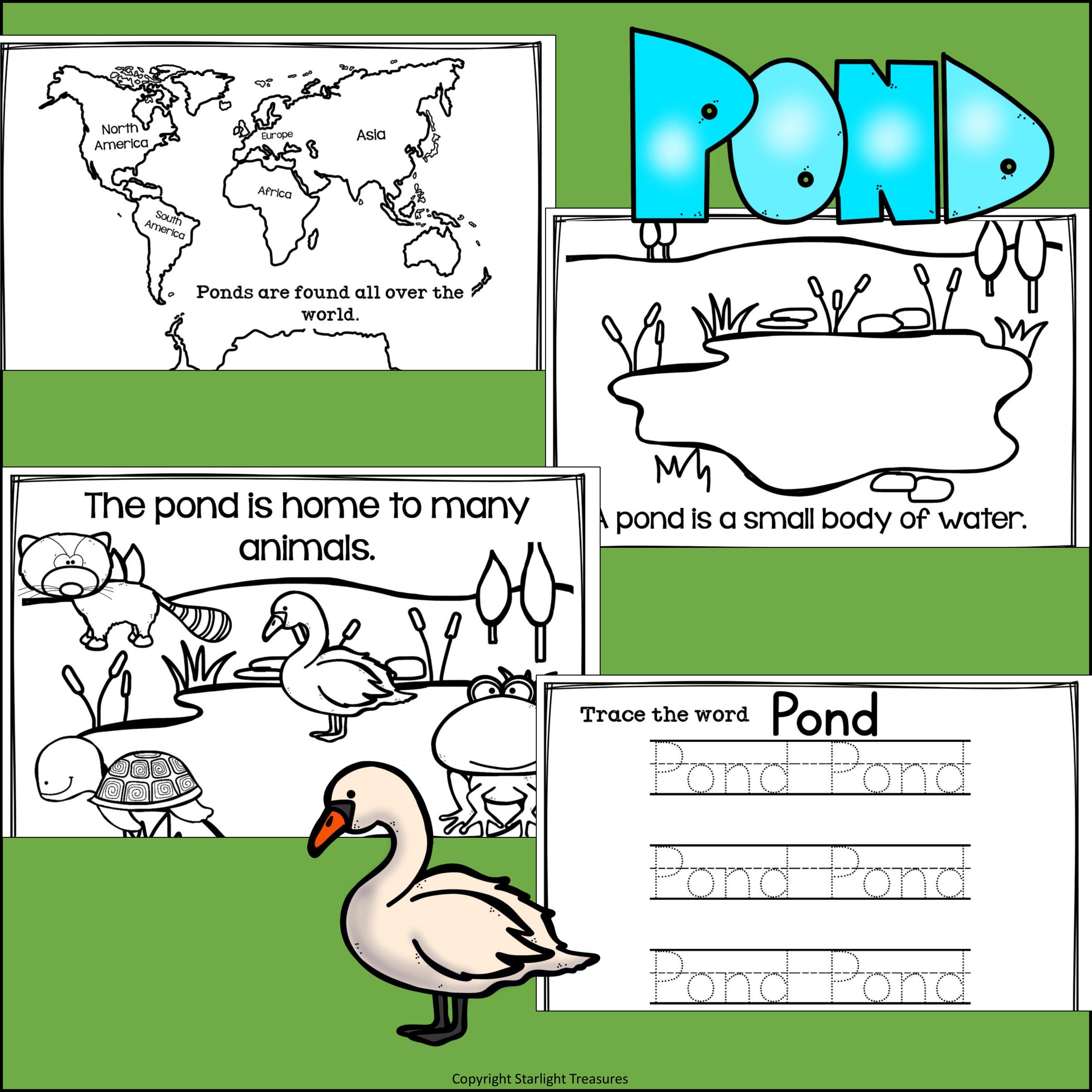 The Pond Mini Book for Early Readers: Pond Animals
