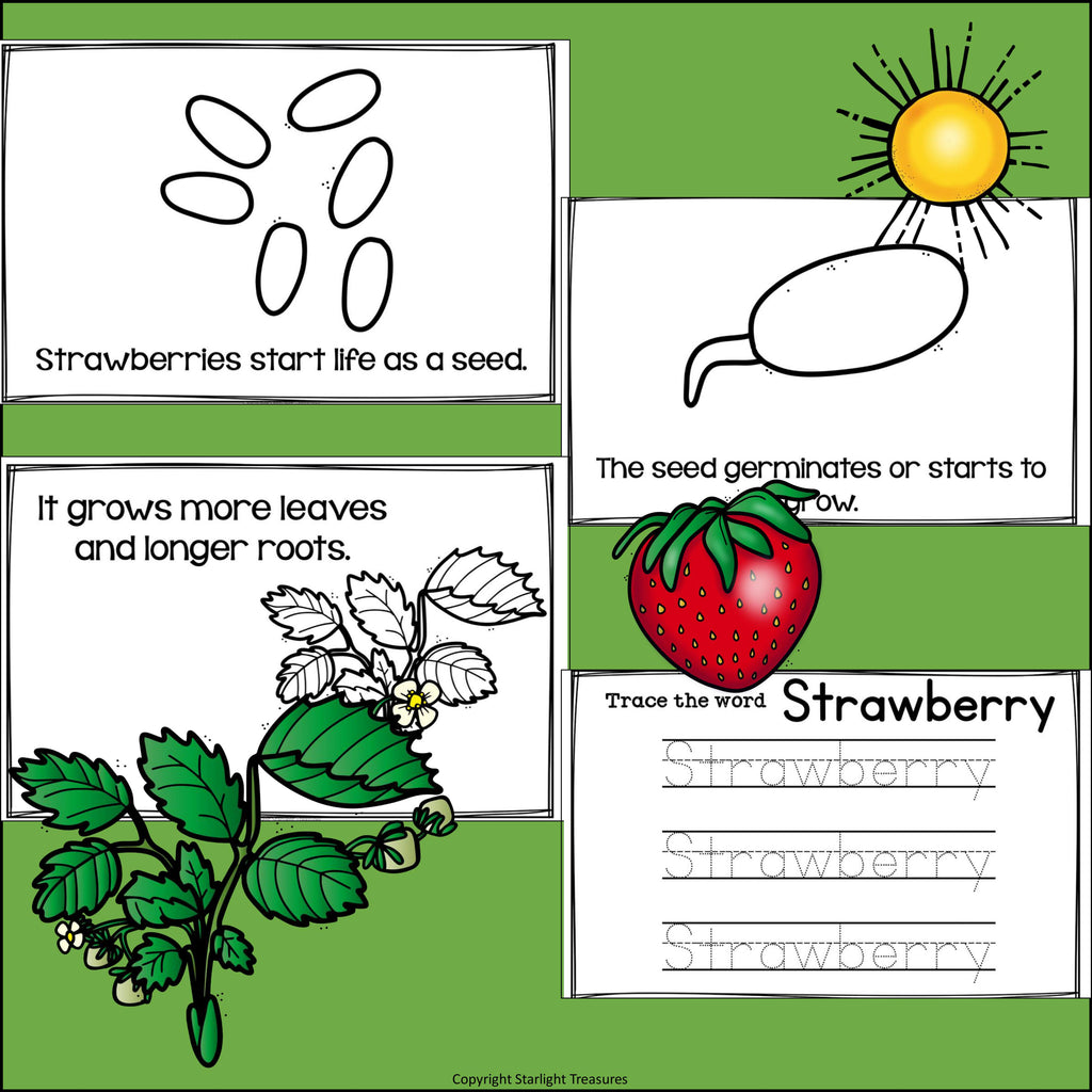 Strawberry Mini Book for Early Readers