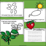 Strawberry Mini Book for Early Readers