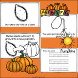Pumpkins Mini Book for Early Readers