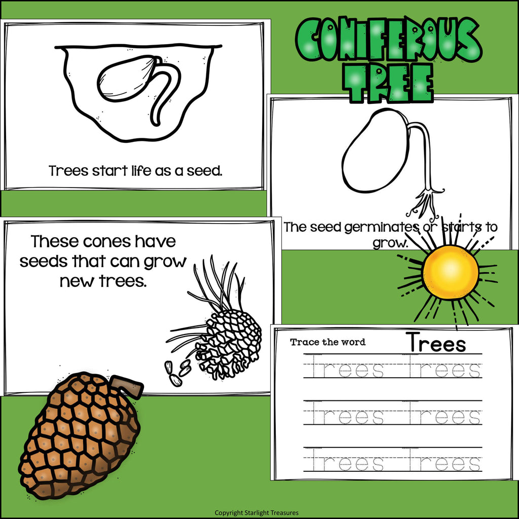 Trees Mini Book for Early Readers