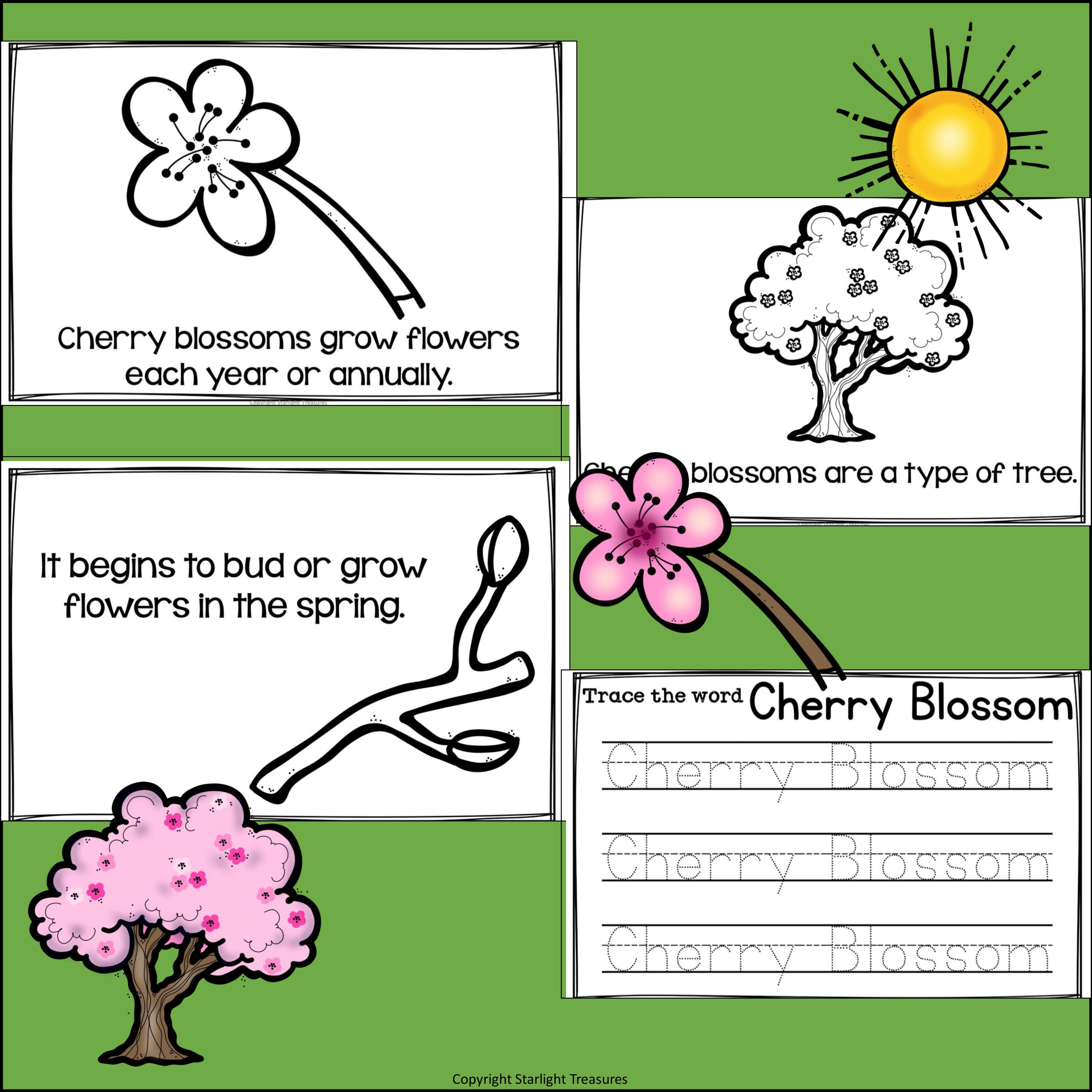 Cherry Blossom Mini Book for Early Readers