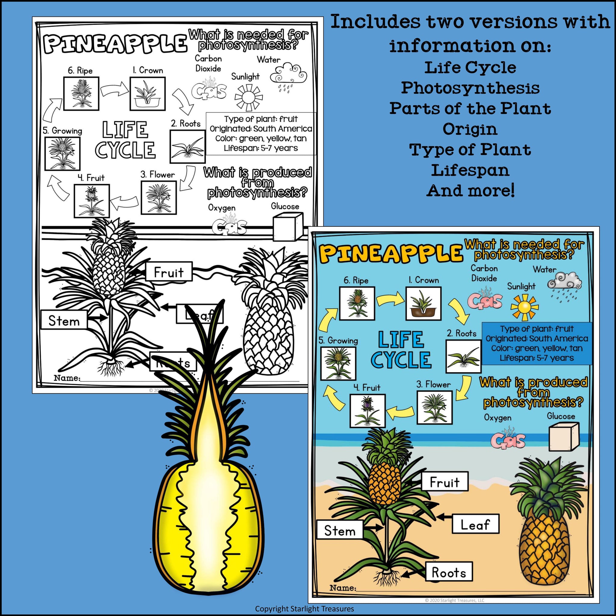 Pineapple Fact Sheet for Early Readers – Starlight Treasures LLC