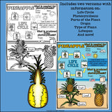 Pineapple Fact Sheet for Early Readers