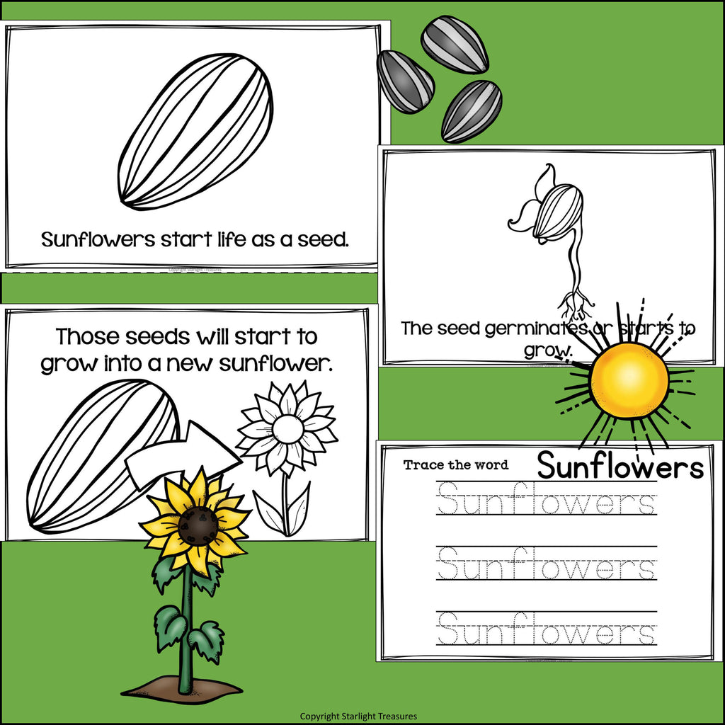 Sunflowers Mini Book for Early Readers