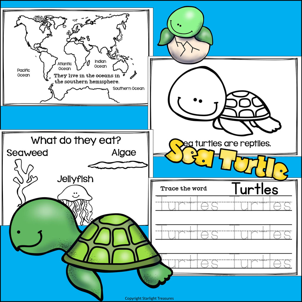 Sea Turtles Mini Book for Early Readers