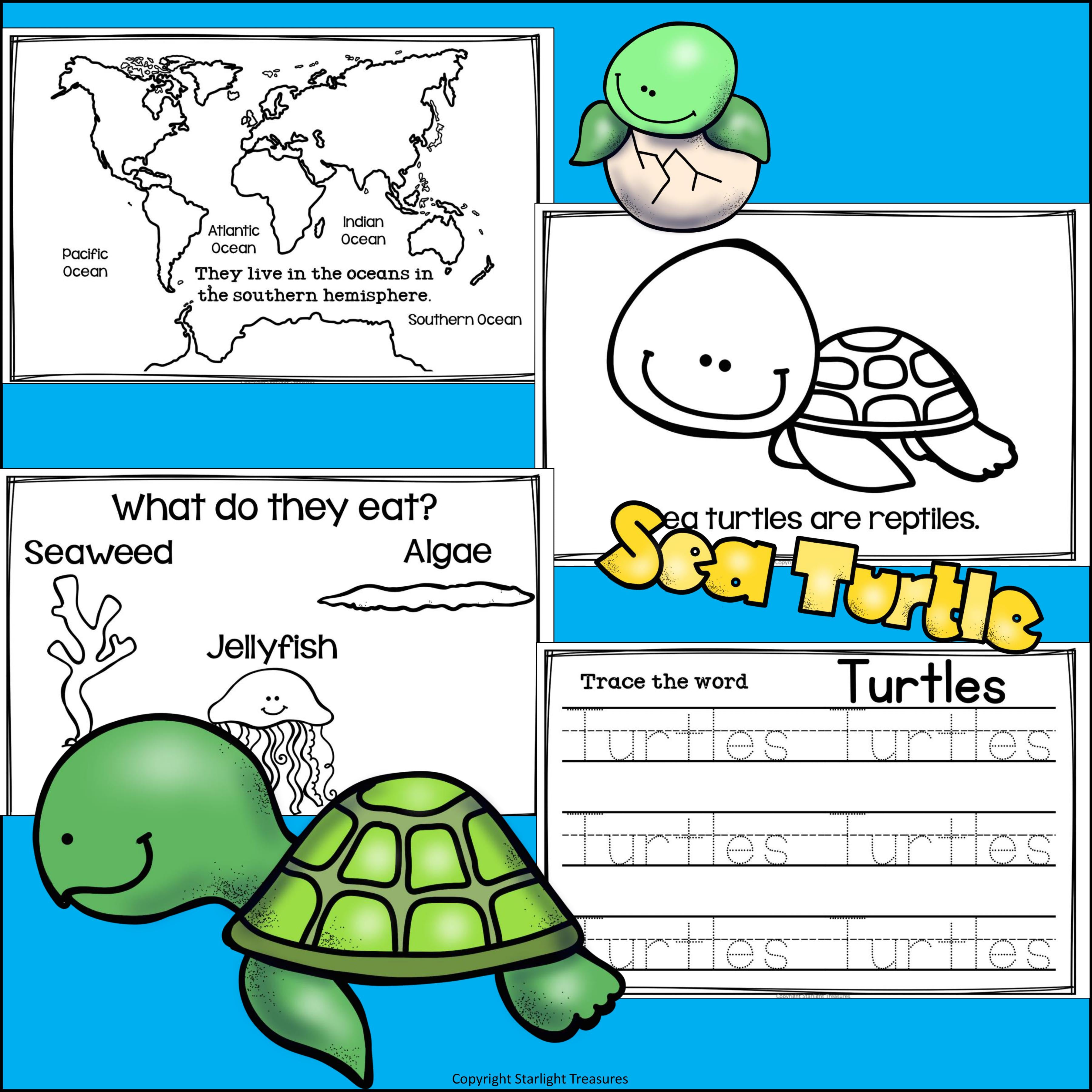 Sea Turtles Mini Book for Early Readers