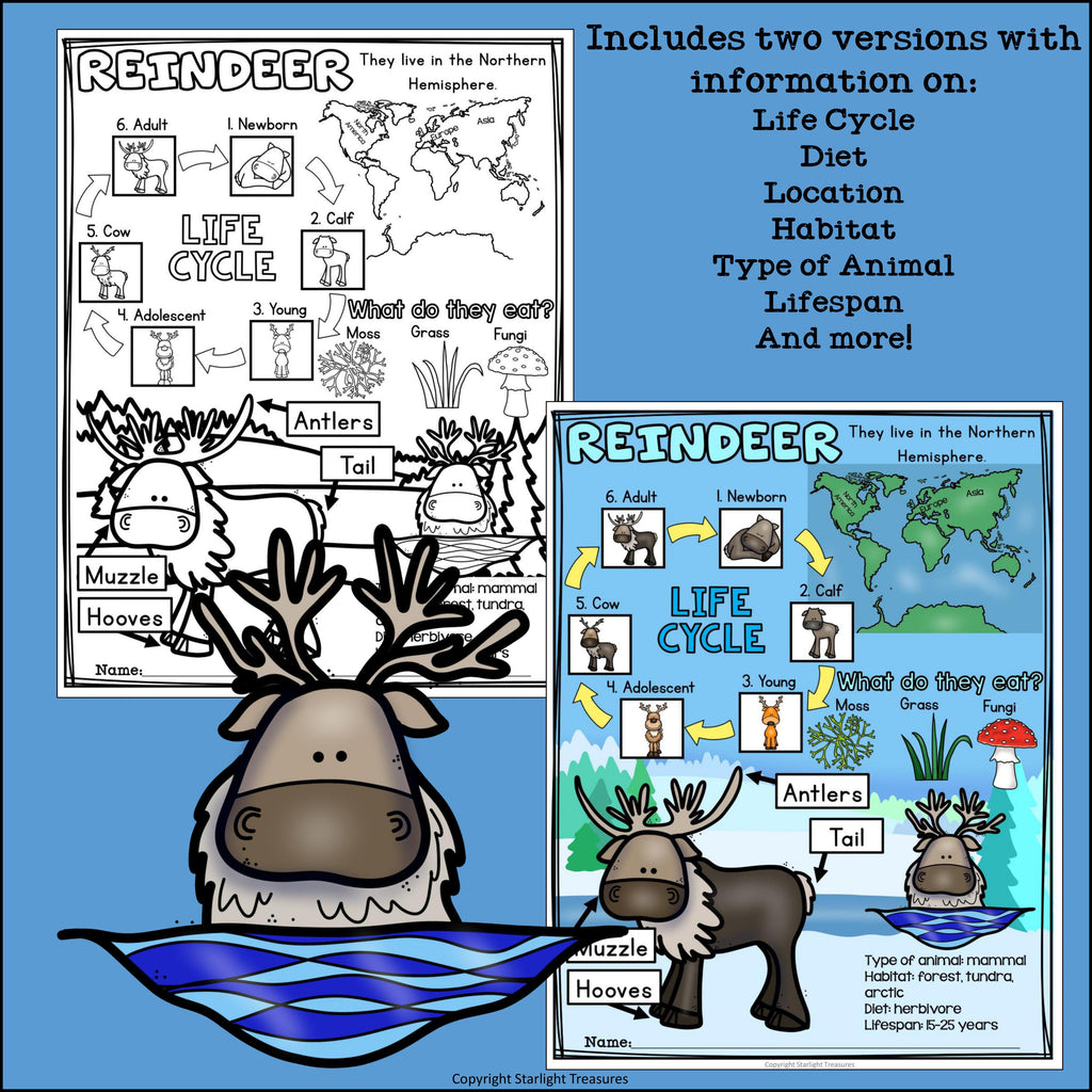 Reindeer Fact Sheet for Early Readers