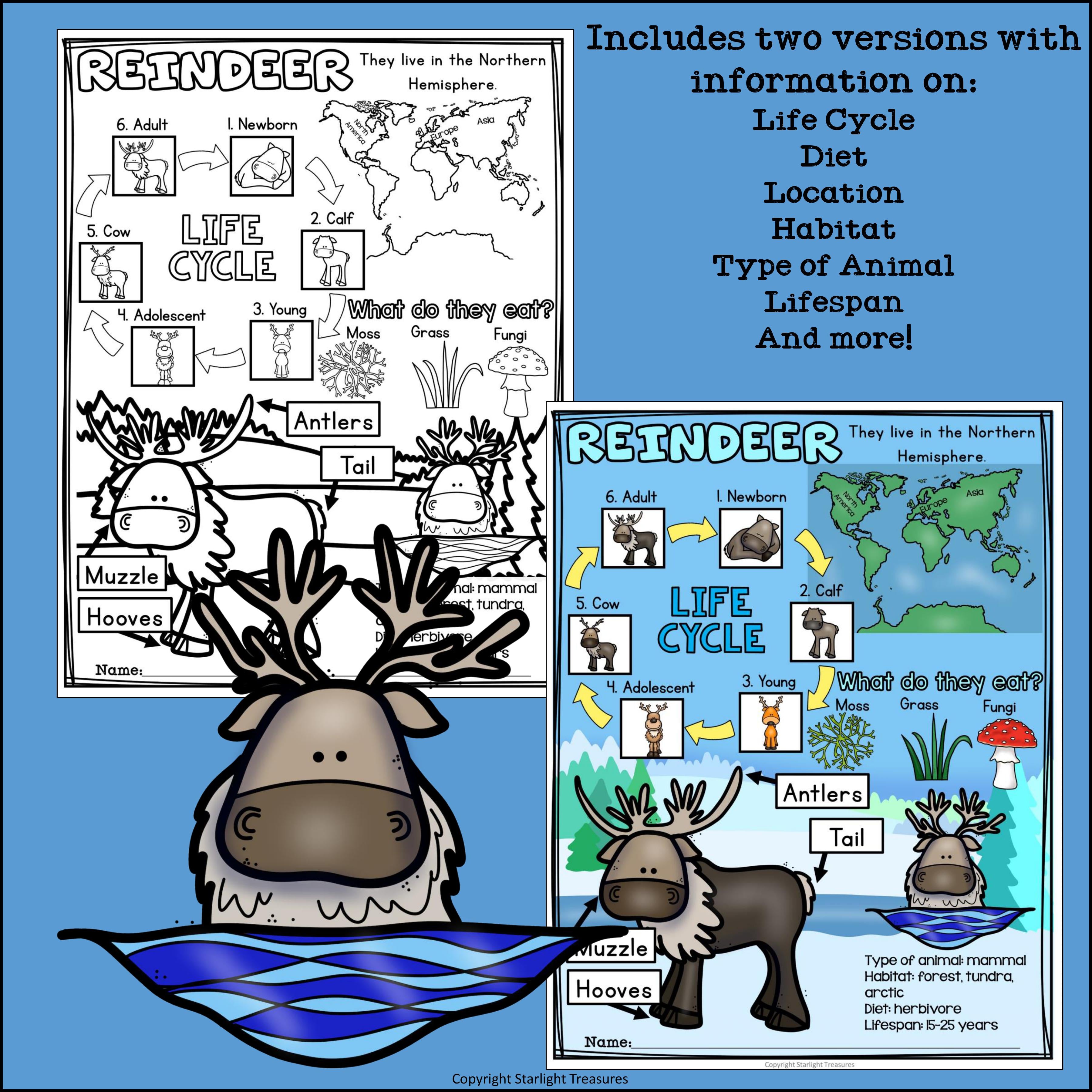 Reindeer Fact Sheet for Early Readers