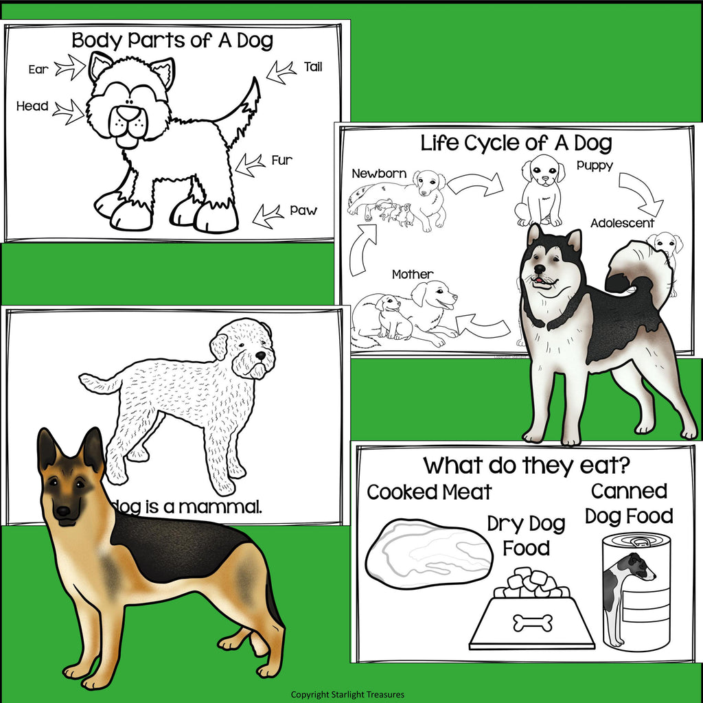 Dogs Mini Book for Early Readers