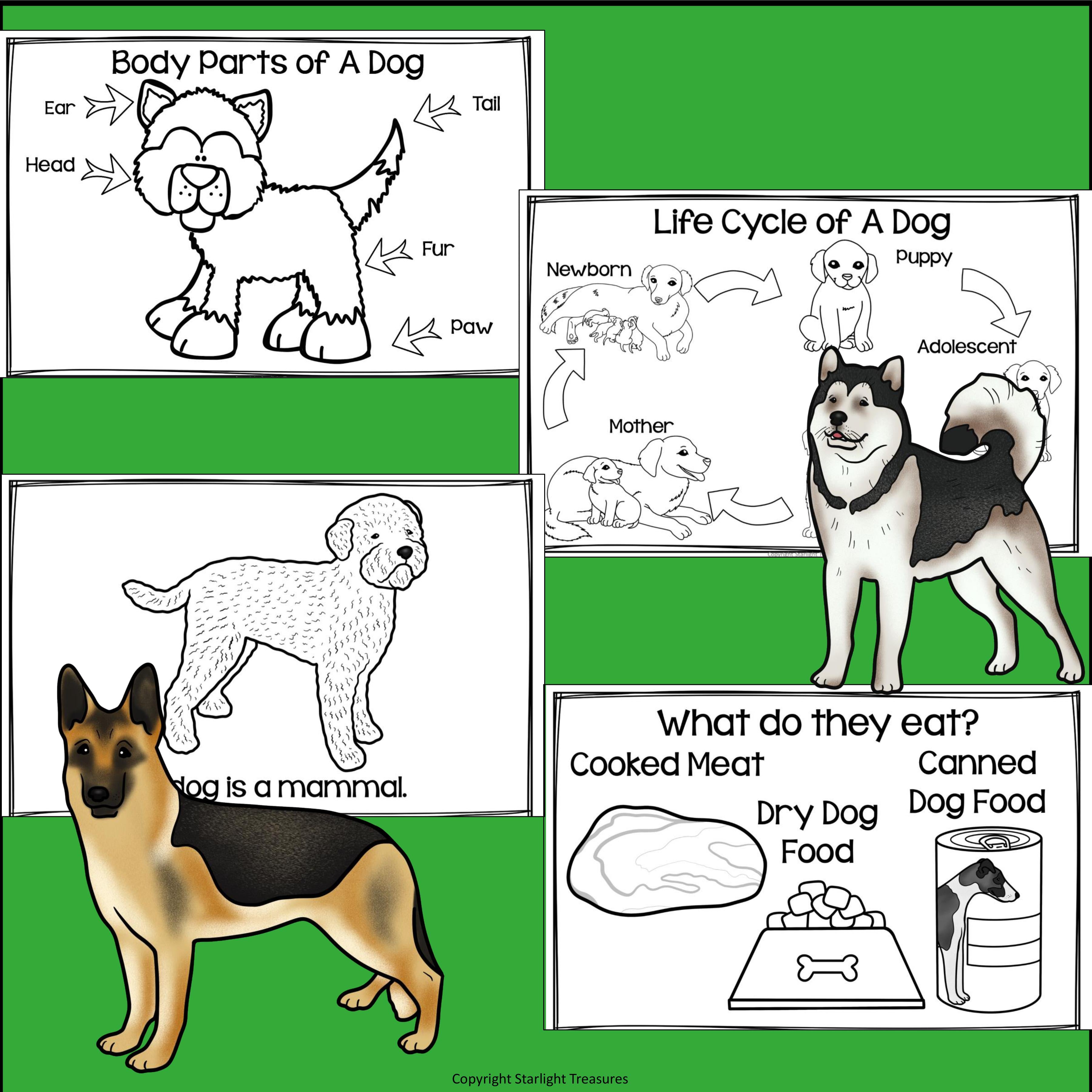 Dogs Mini Book for Early Readers