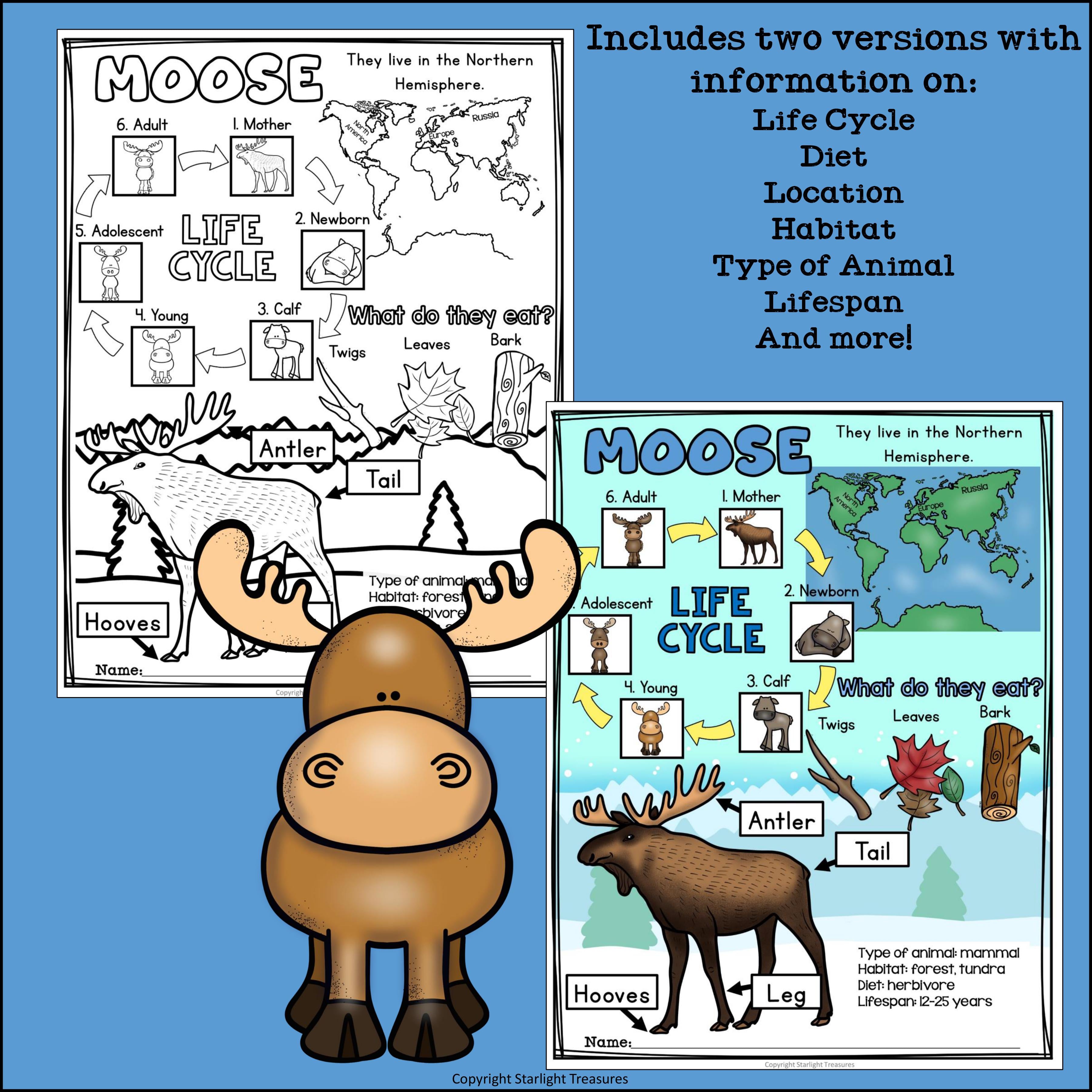 Moose Fact Sheet for Early Readers