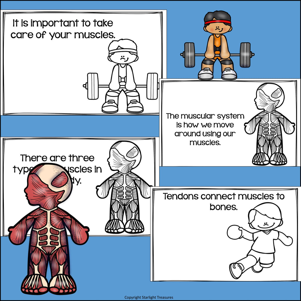 Human Body Systems: Muscular System Mini Book for Early Readers