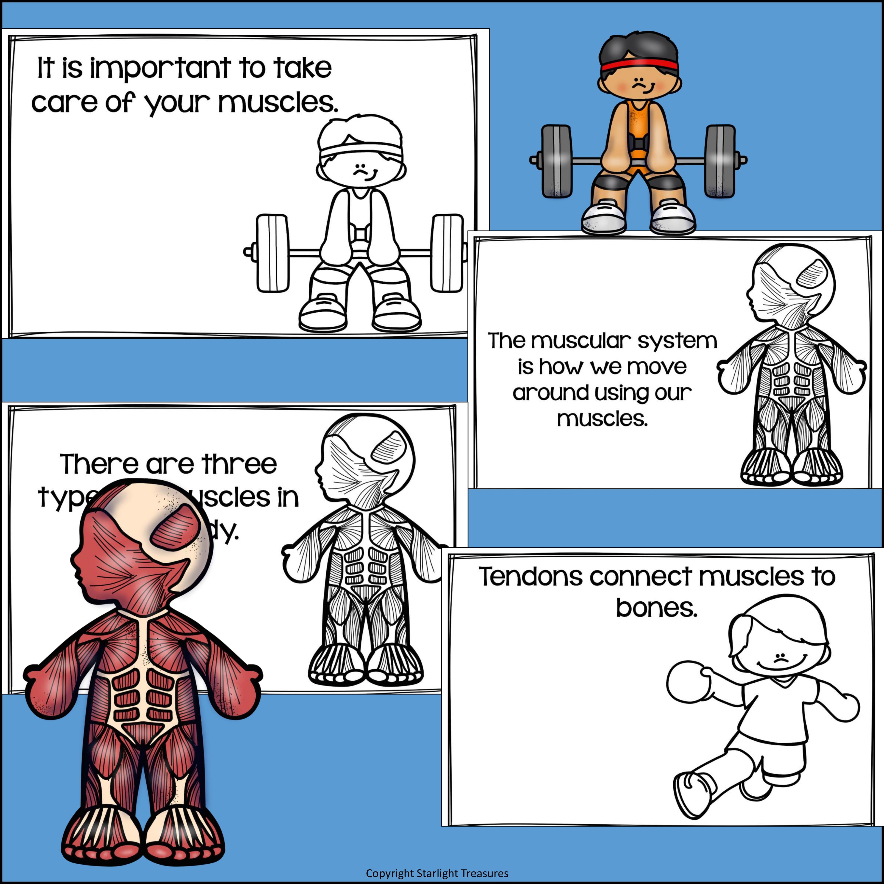 Human Body Systems: Muscular System Mini Book for Early Readers