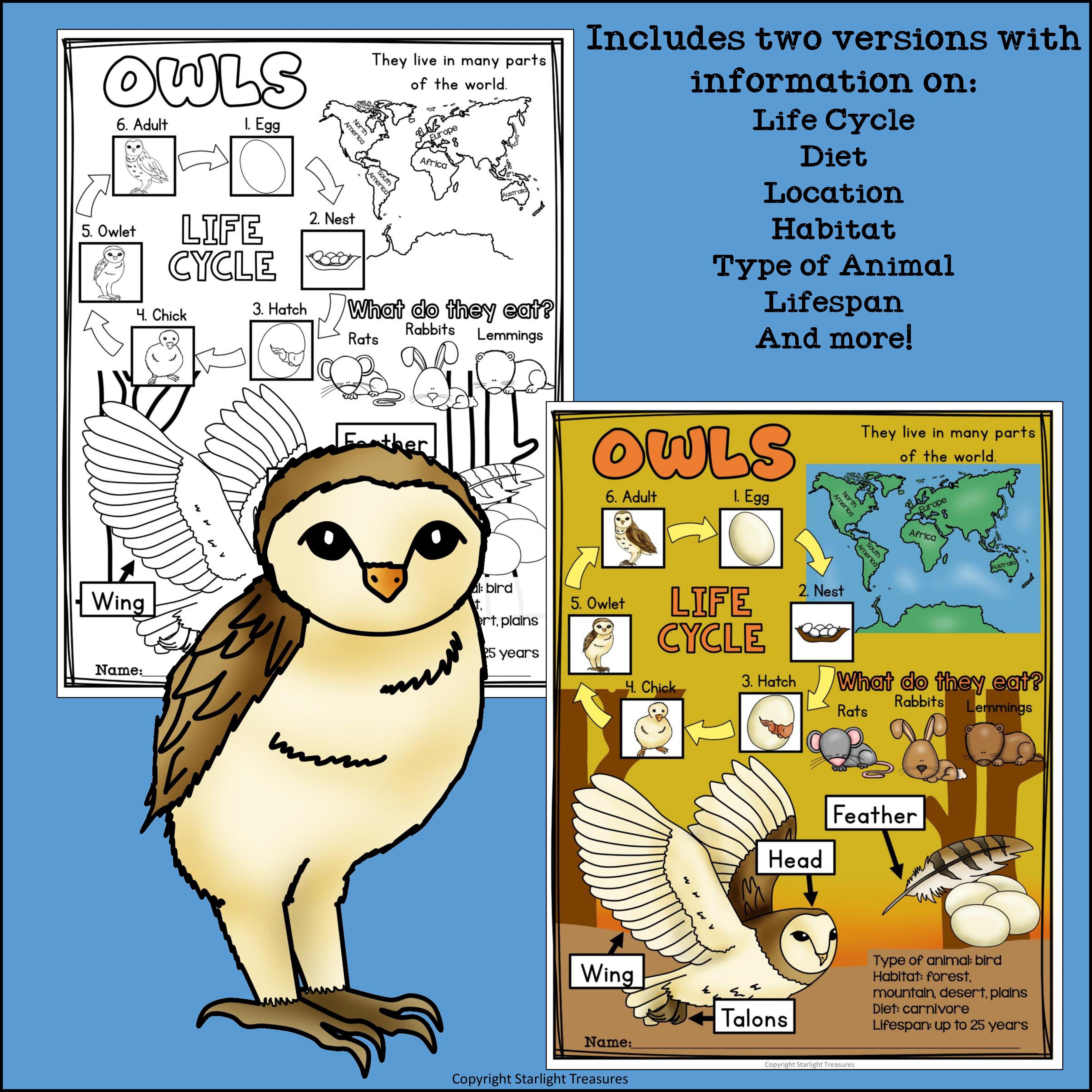Owls Fact Sheet for Early Readers