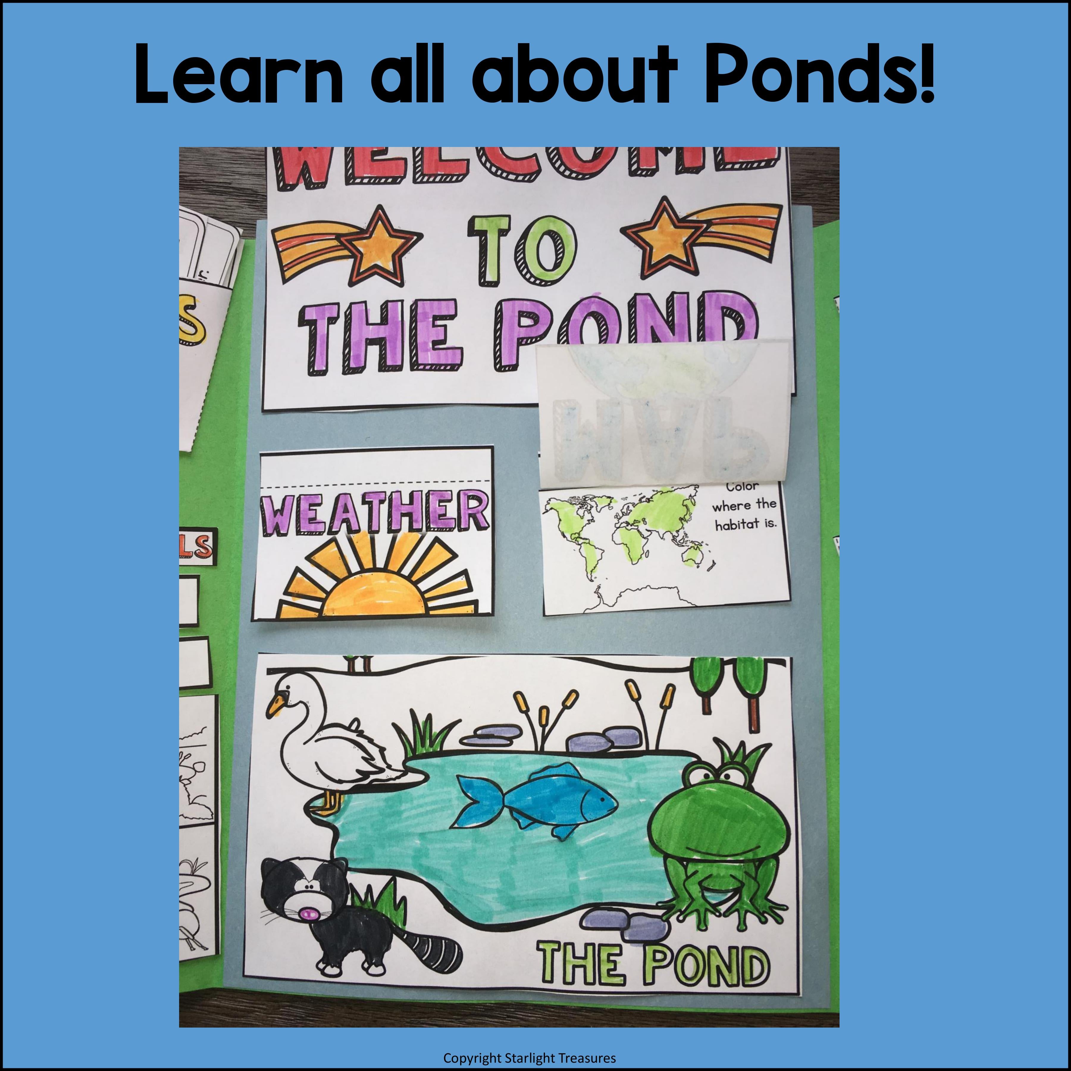 Pond Lapbook for Early Learners - Animal Habitats