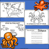 Octopus Mini Book for Early Readers