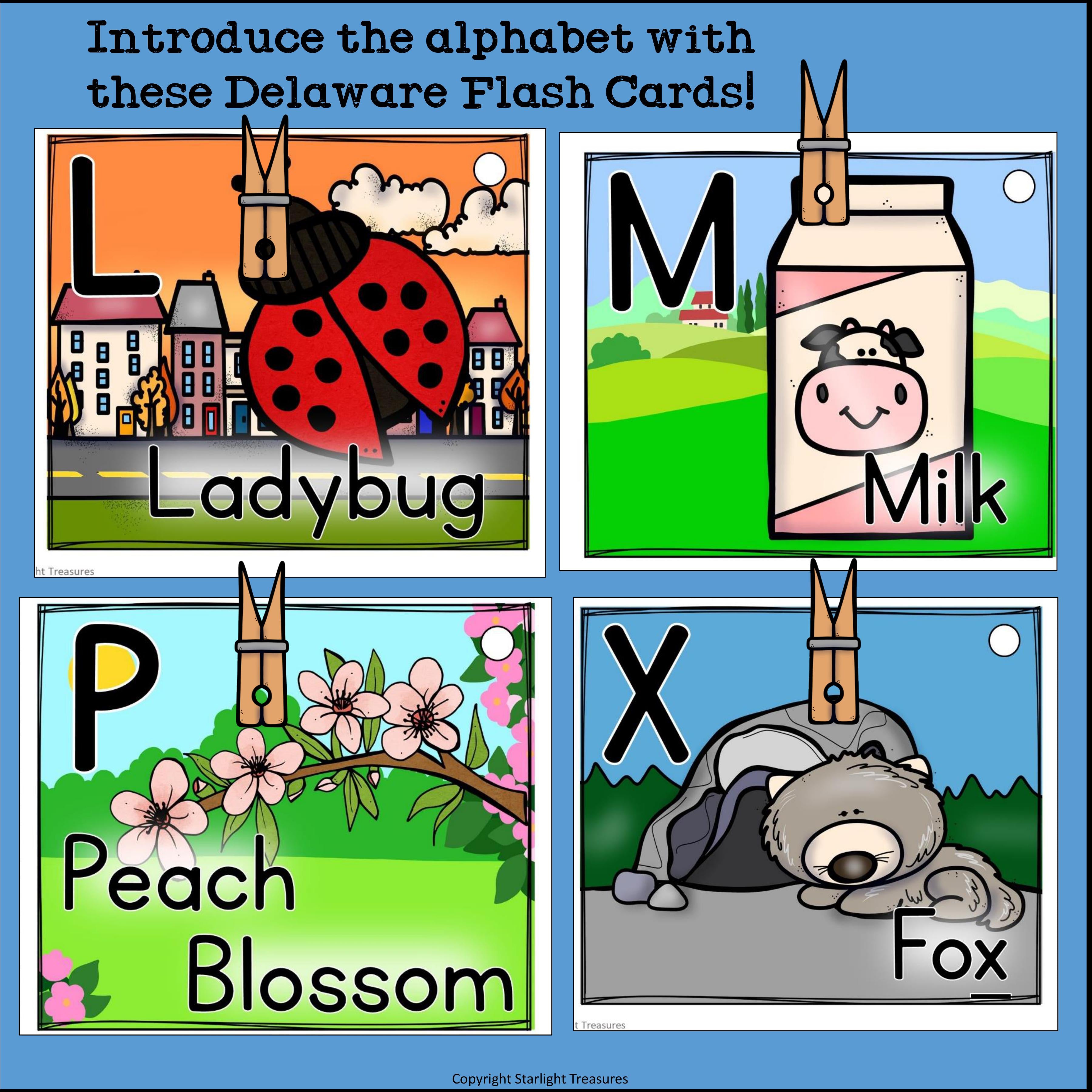 Delaware Flash Cards