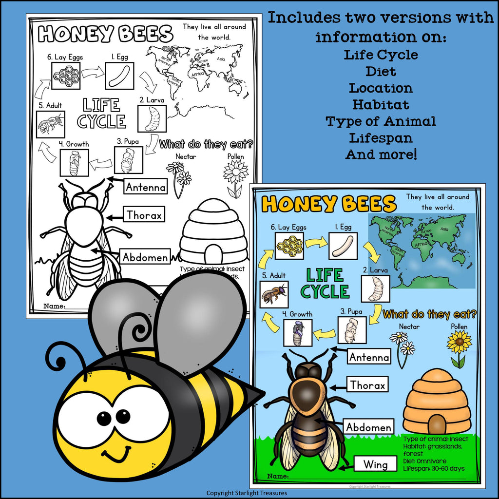 Honey Bees Fact Sheet for Early Readers
