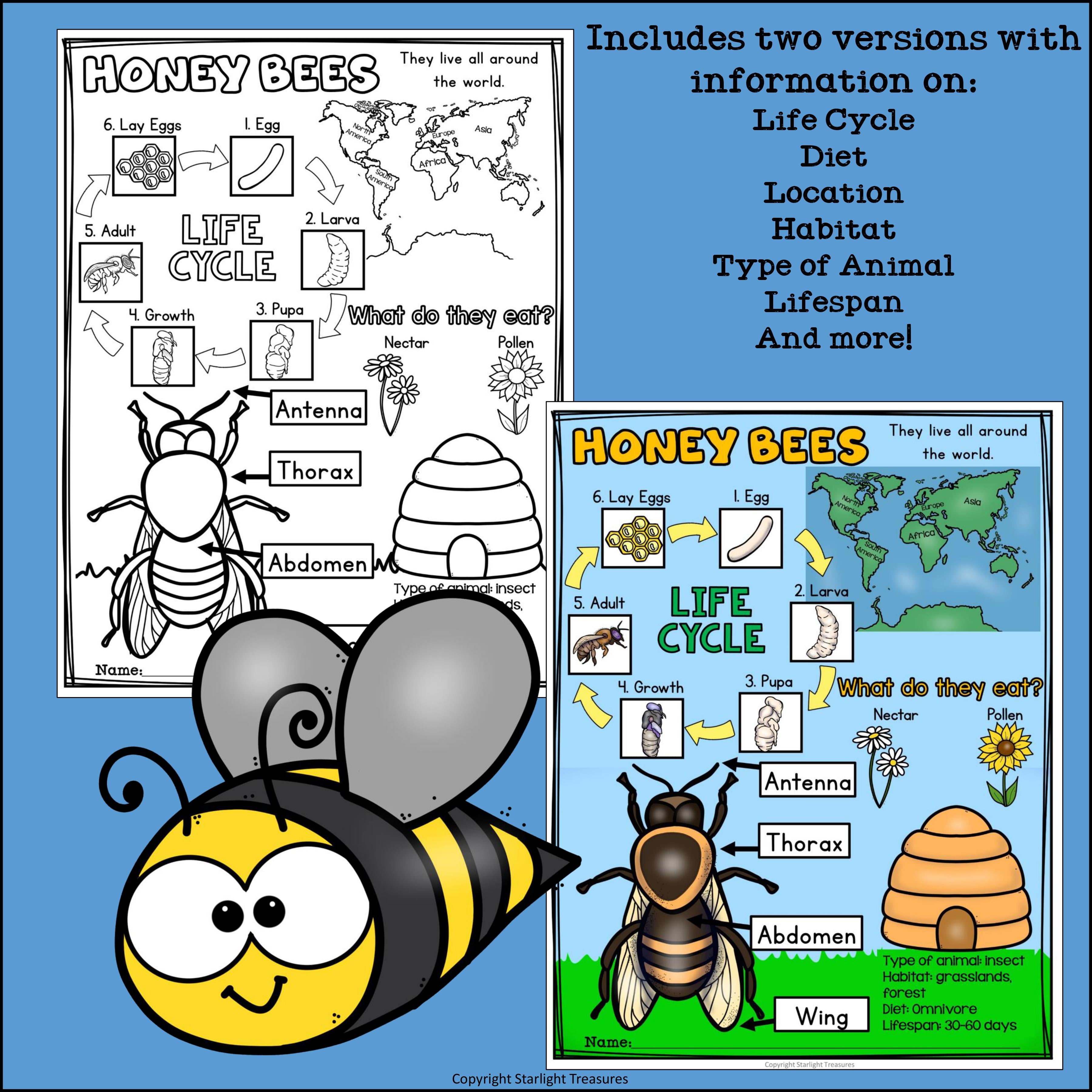 Honey Bees Fact Sheet for Early Readers