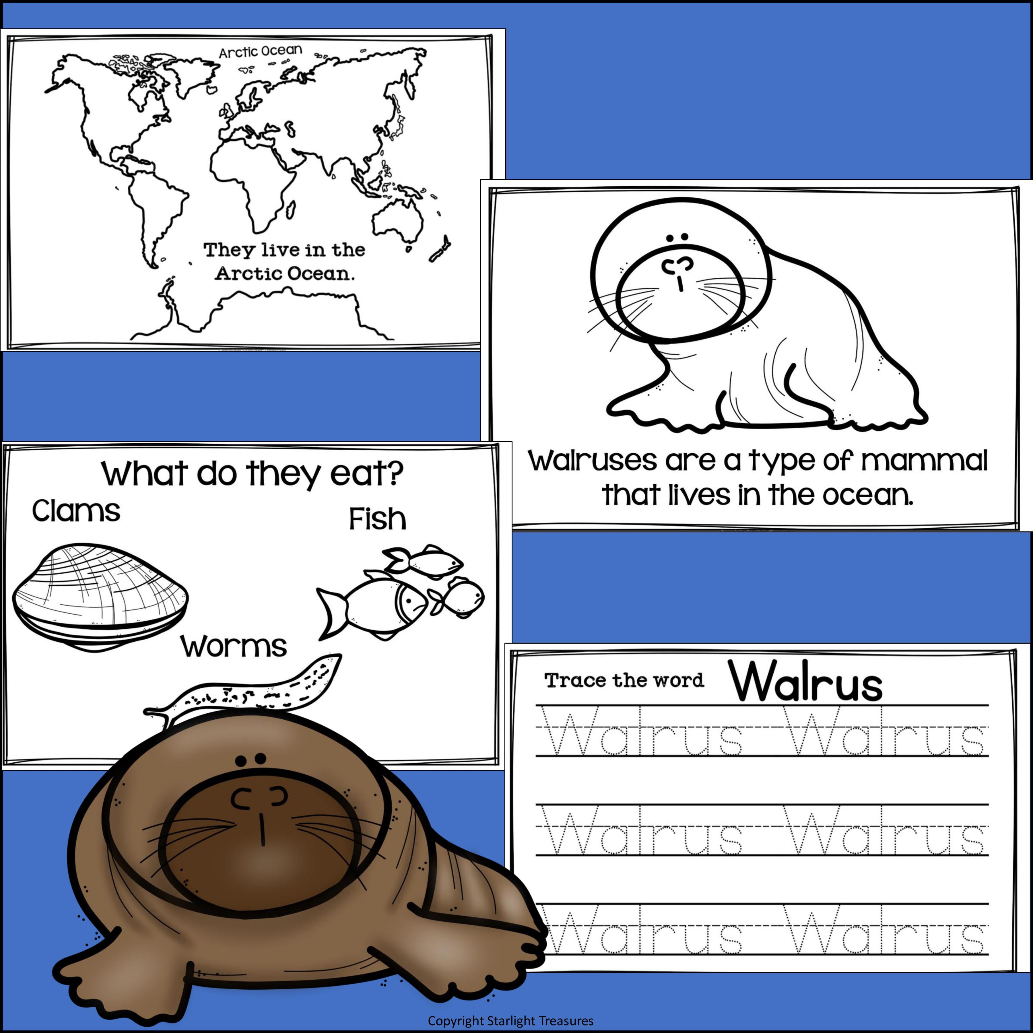 Walruses Mini Book for Early Readers - Walrus