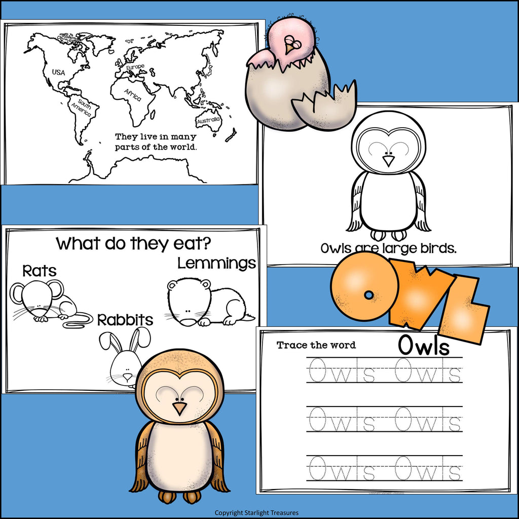 Owls Mini Book for Early Readers