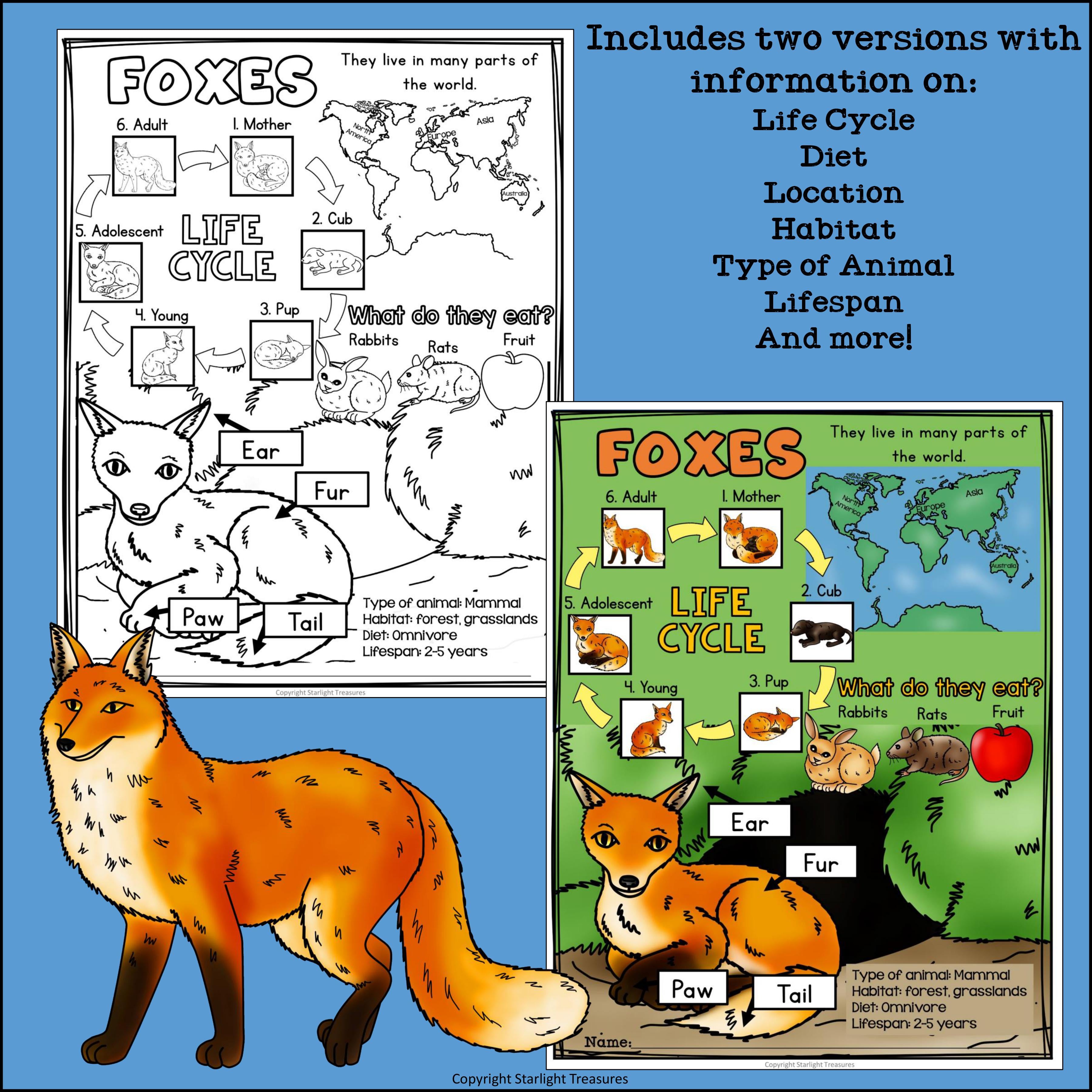 Fox Fact Sheet for Early Readers