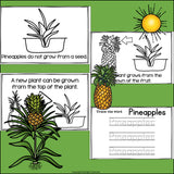 Pineapples Mini Book for Early Readers