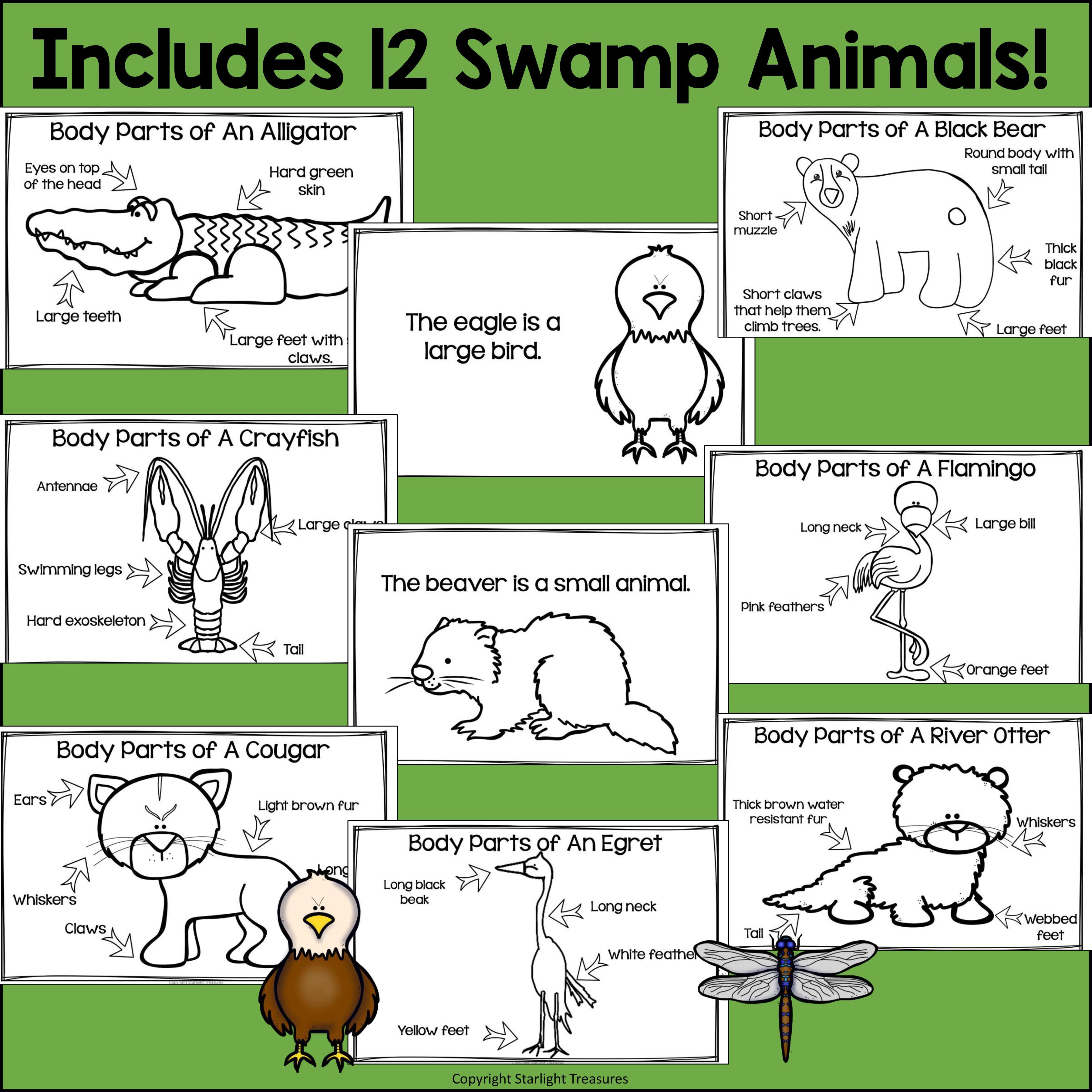The Swamp Mini Book for Early Readers: Swamp Animals