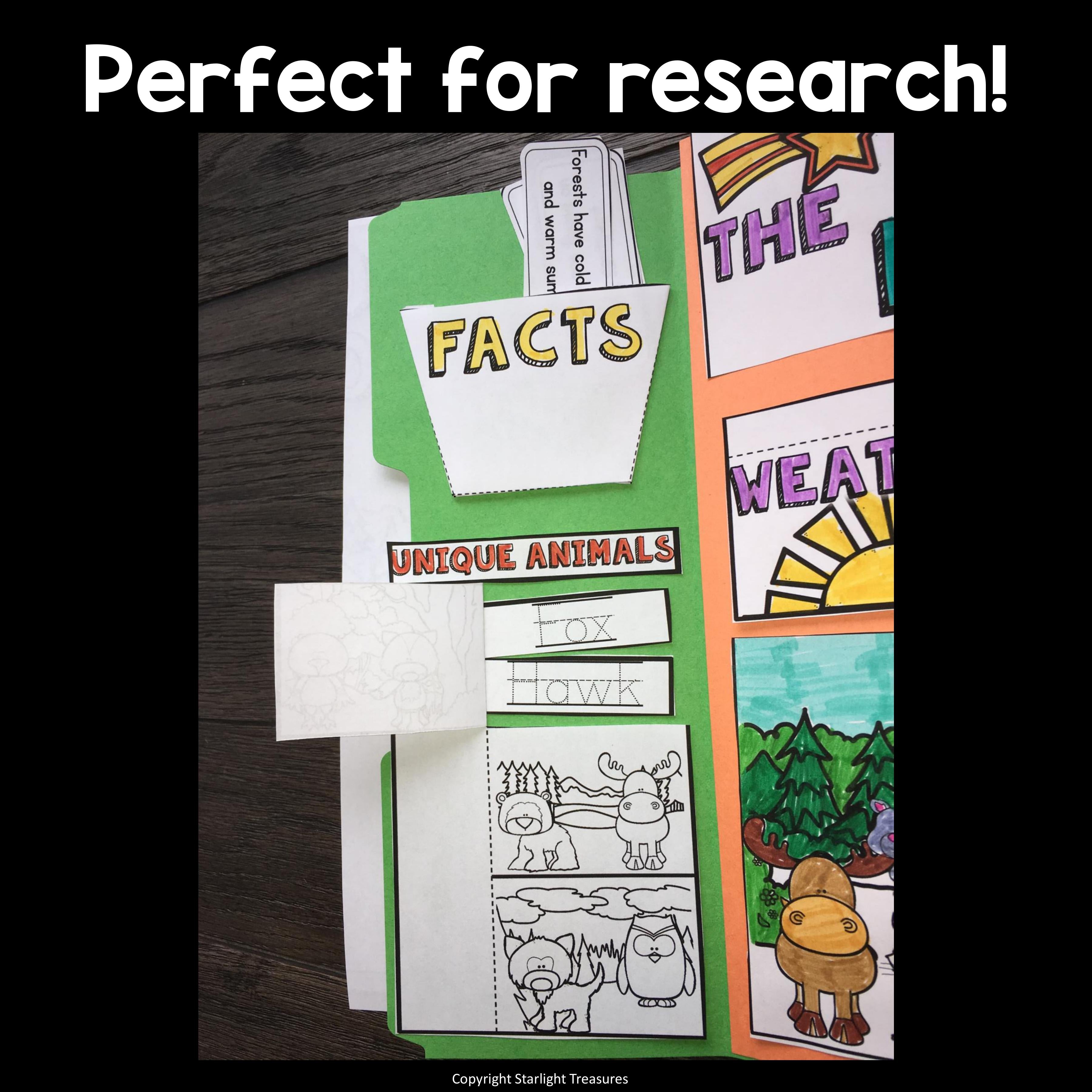 Forest Lapbook for Early Learners - Animal Habitats