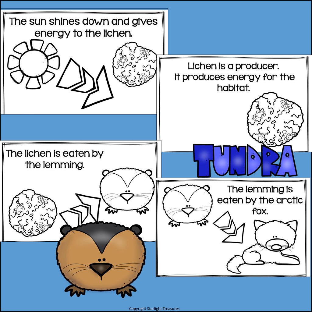 Tundra Food Chain Mini Book for Early Readers - Food Chains