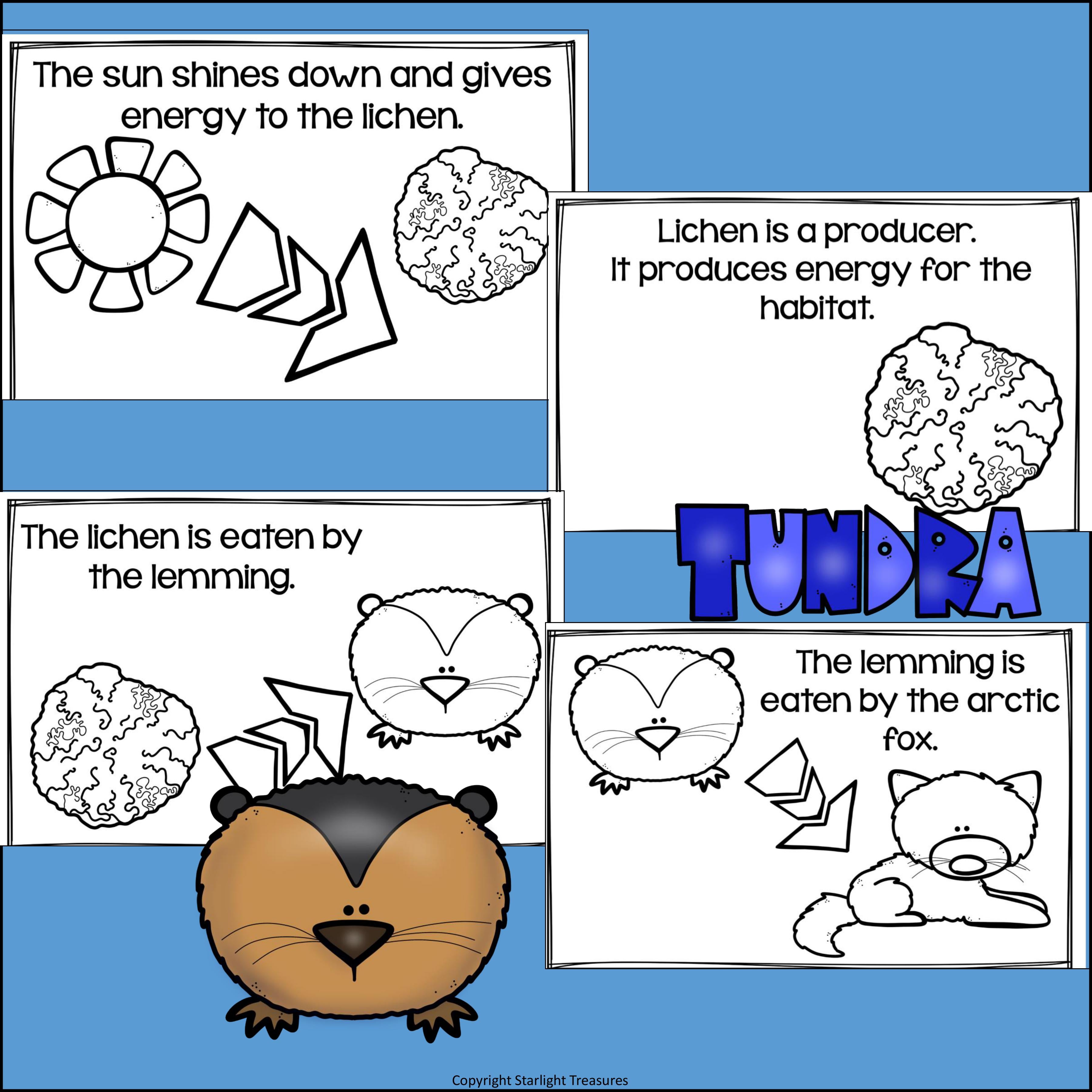 Tundra Food Chain Mini Book for Early Readers - Food Chains