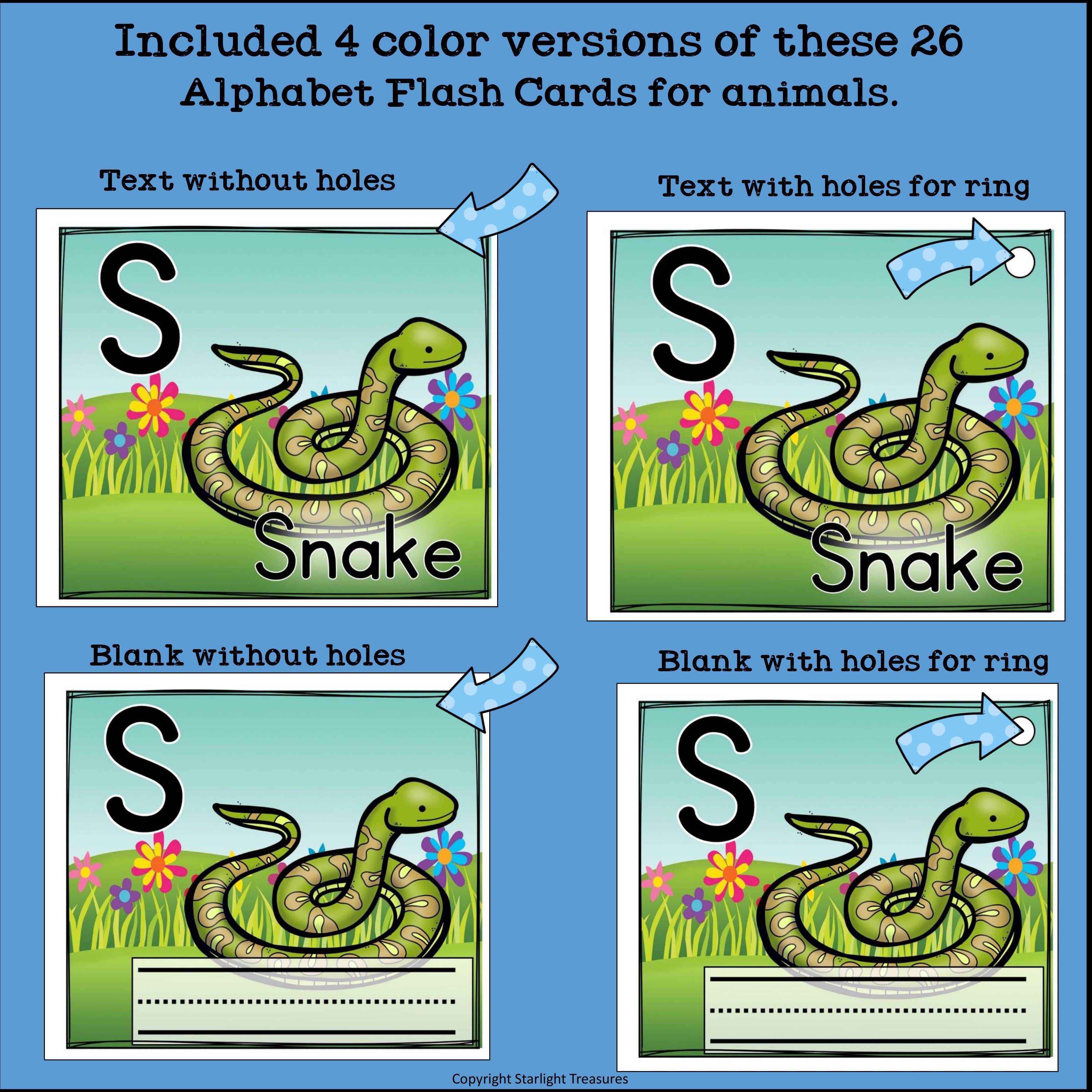 Animal Flash Cards