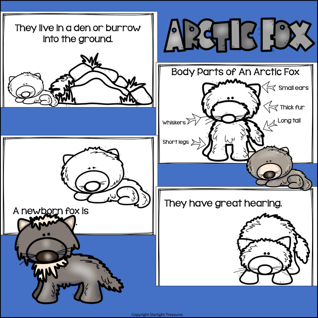 Arctic Fox Mini Book for Early Readers