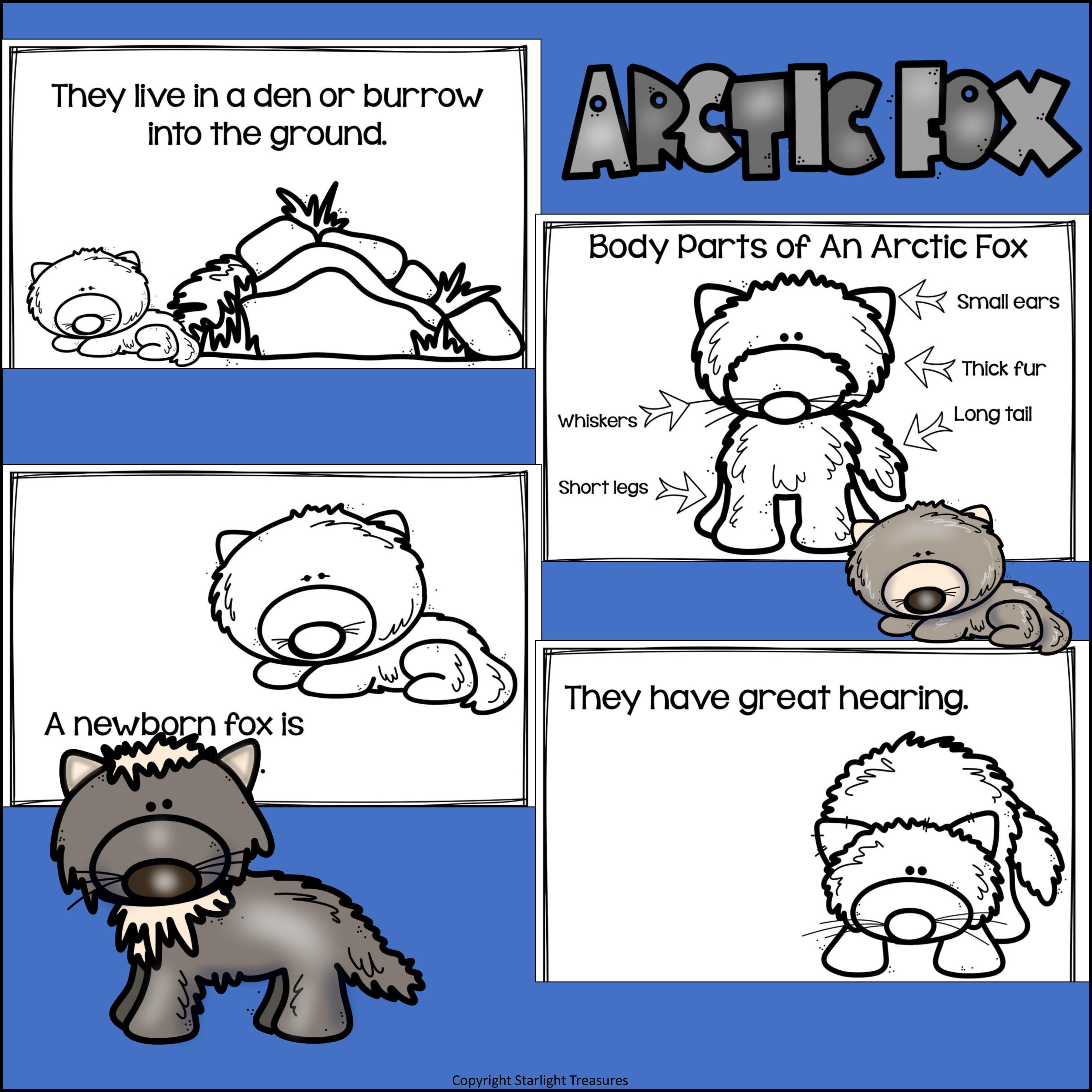 Arctic Fox Mini Book for Early Readers