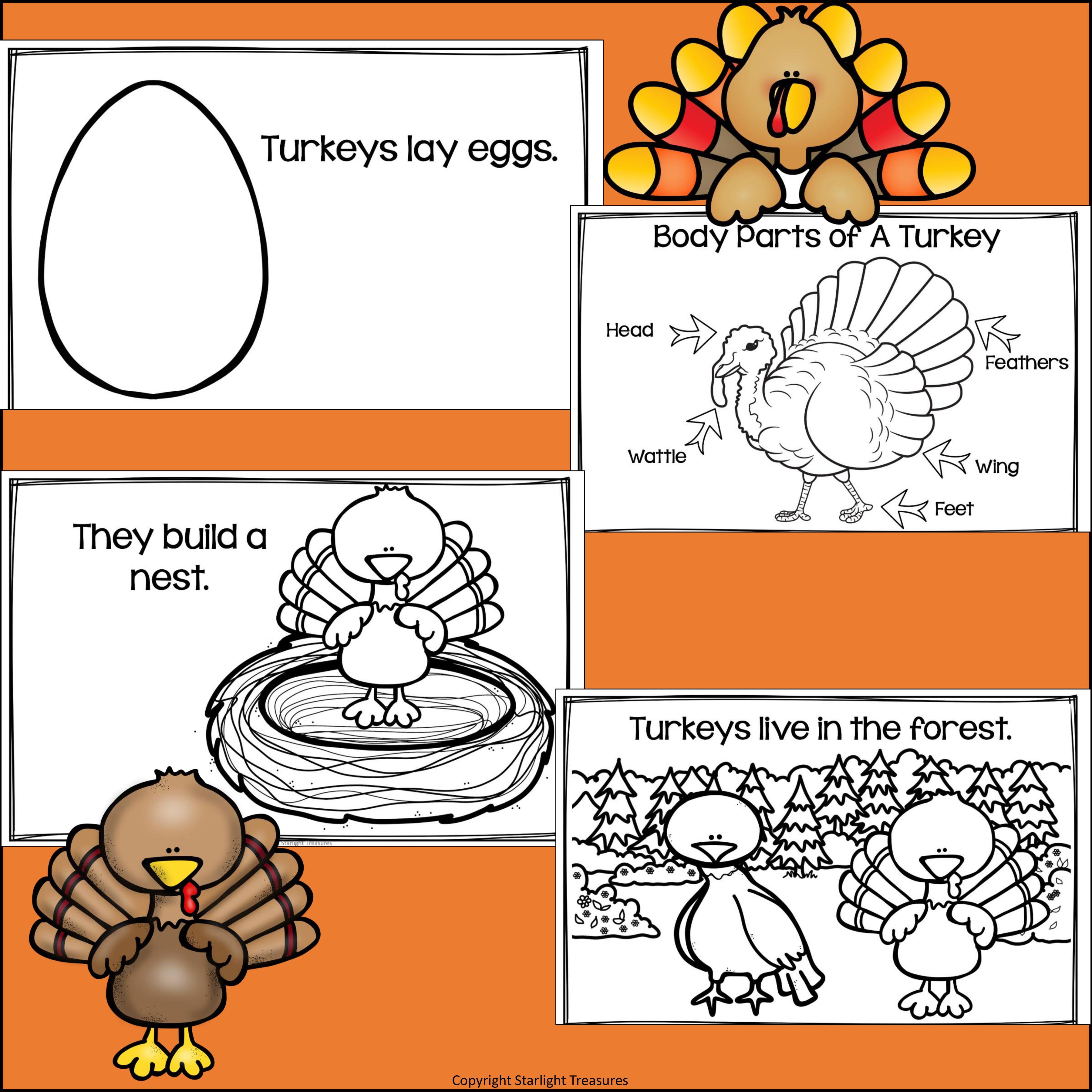 Turkeys Mini Book for Early Readers