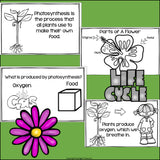 Flowers Mini Book for Early Readers