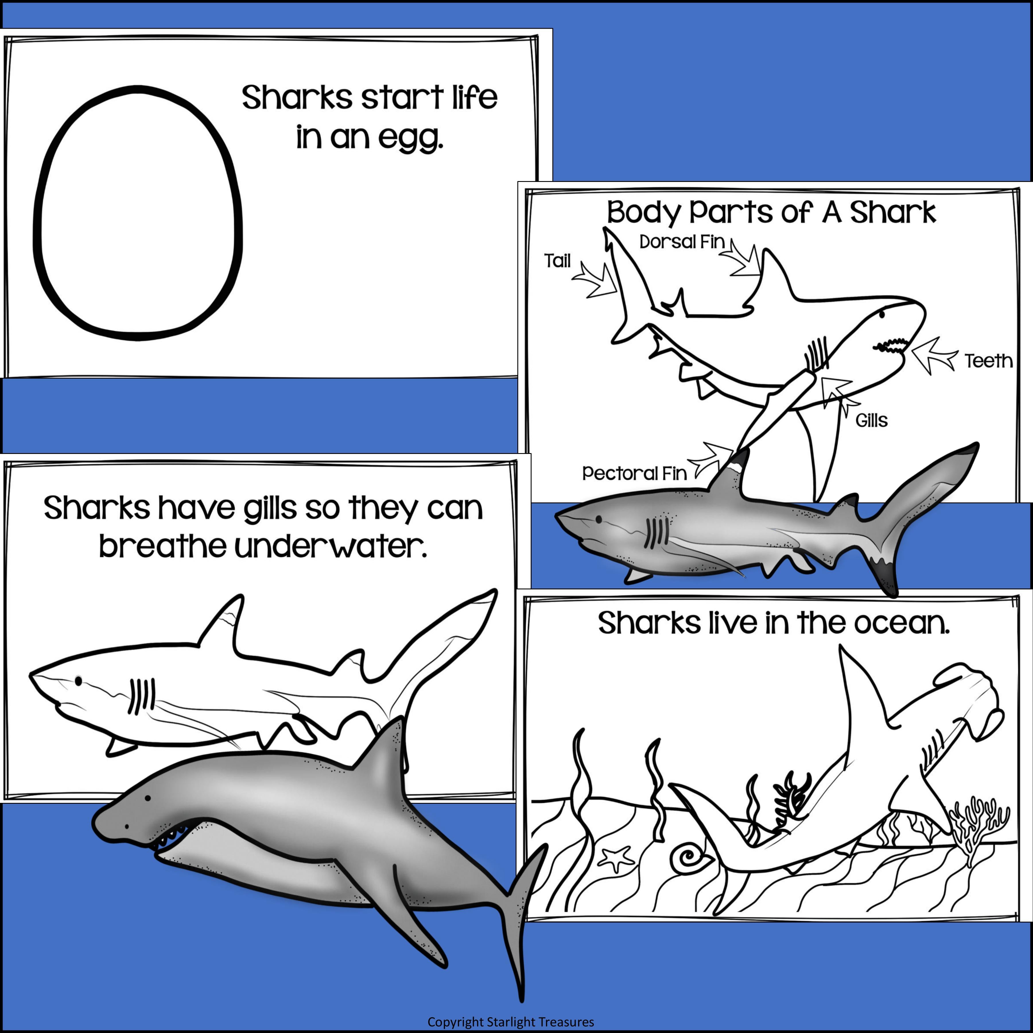 Sharks Mini Book for Early Readers