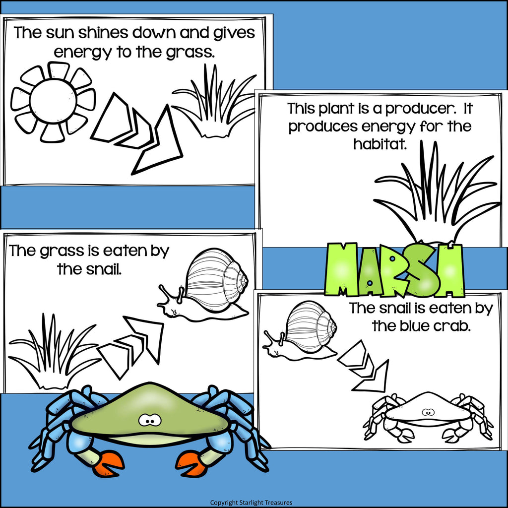 Marsh Food Chain Mini Book for Early Readers - Food Chains