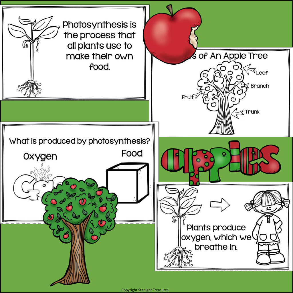 Apples Mini Book for Early Readers