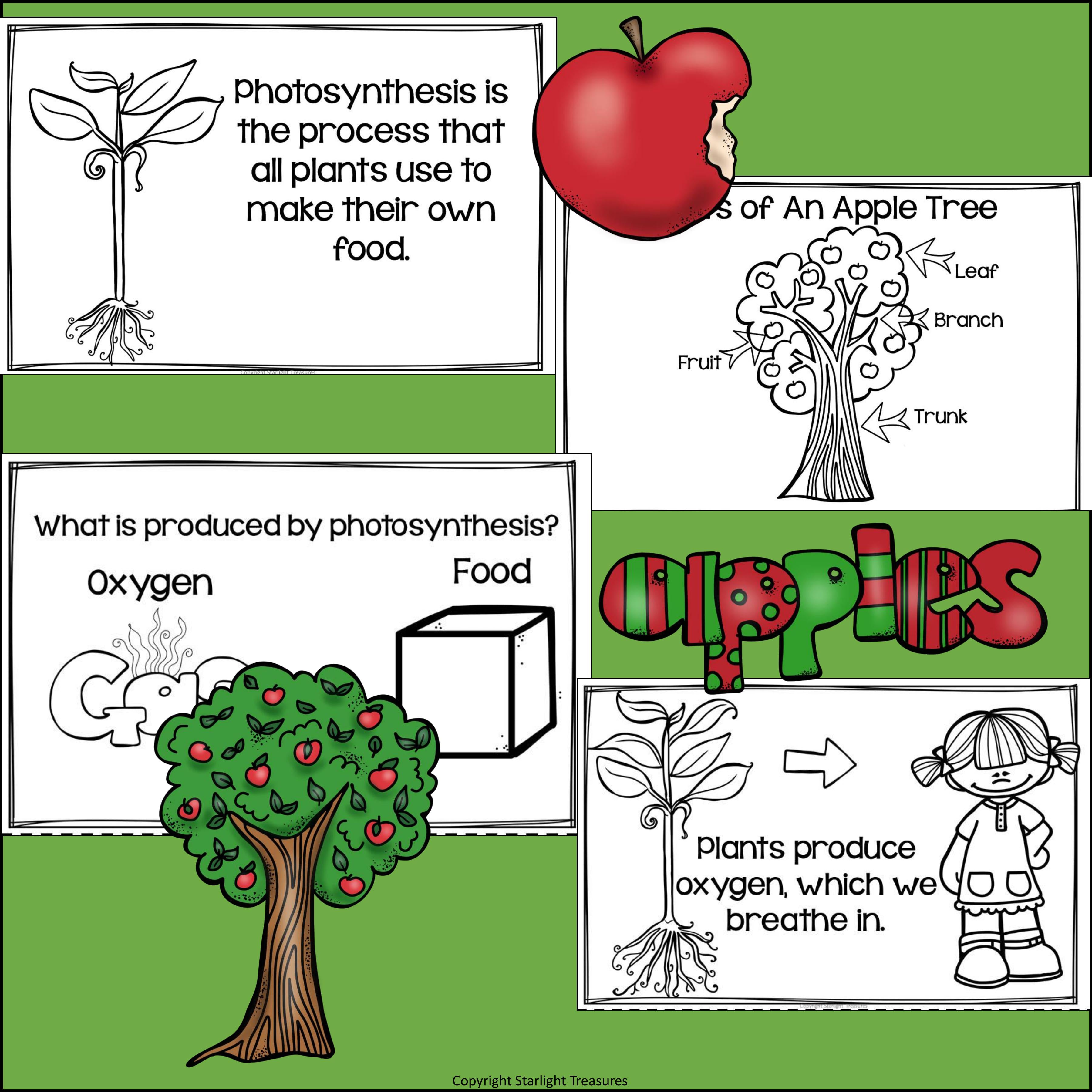 Apples Mini Book for Early Readers