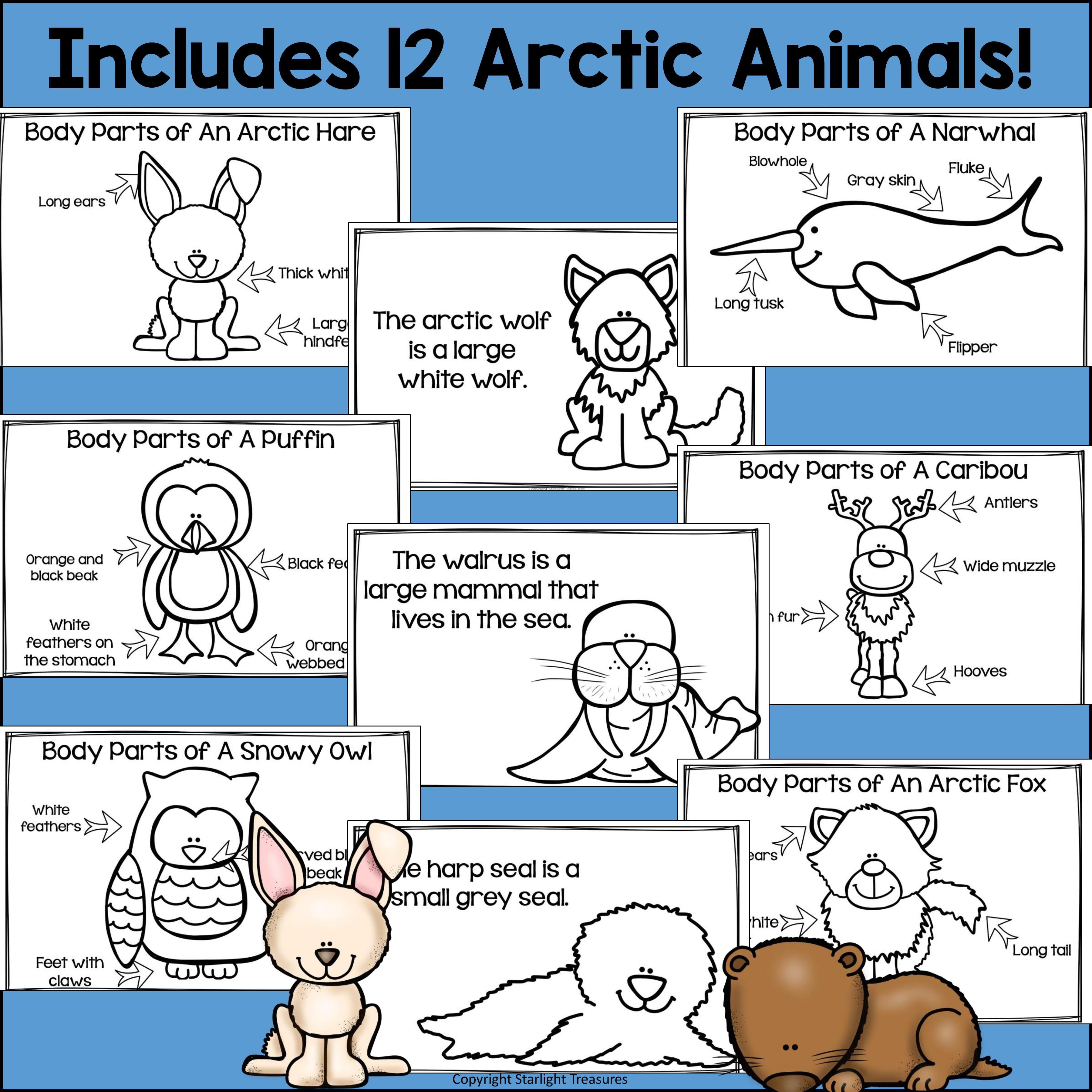 The Arctic Mini Book for Early Readers: Arctic Animals