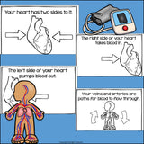 Human Body Systems: Circulatory System Mini Book for Early Readers